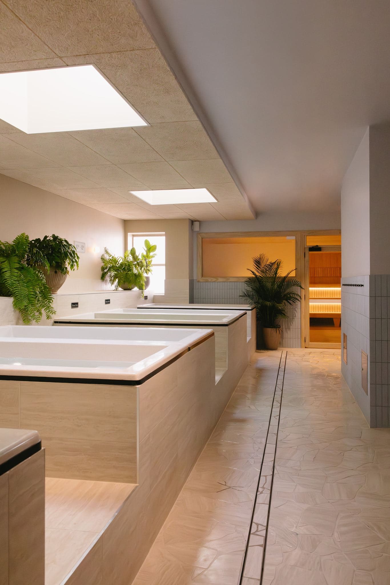 Row of cold plunge baths under skylights with potted ferns along the ledge and a warm-lit timber sauna at the end of the room