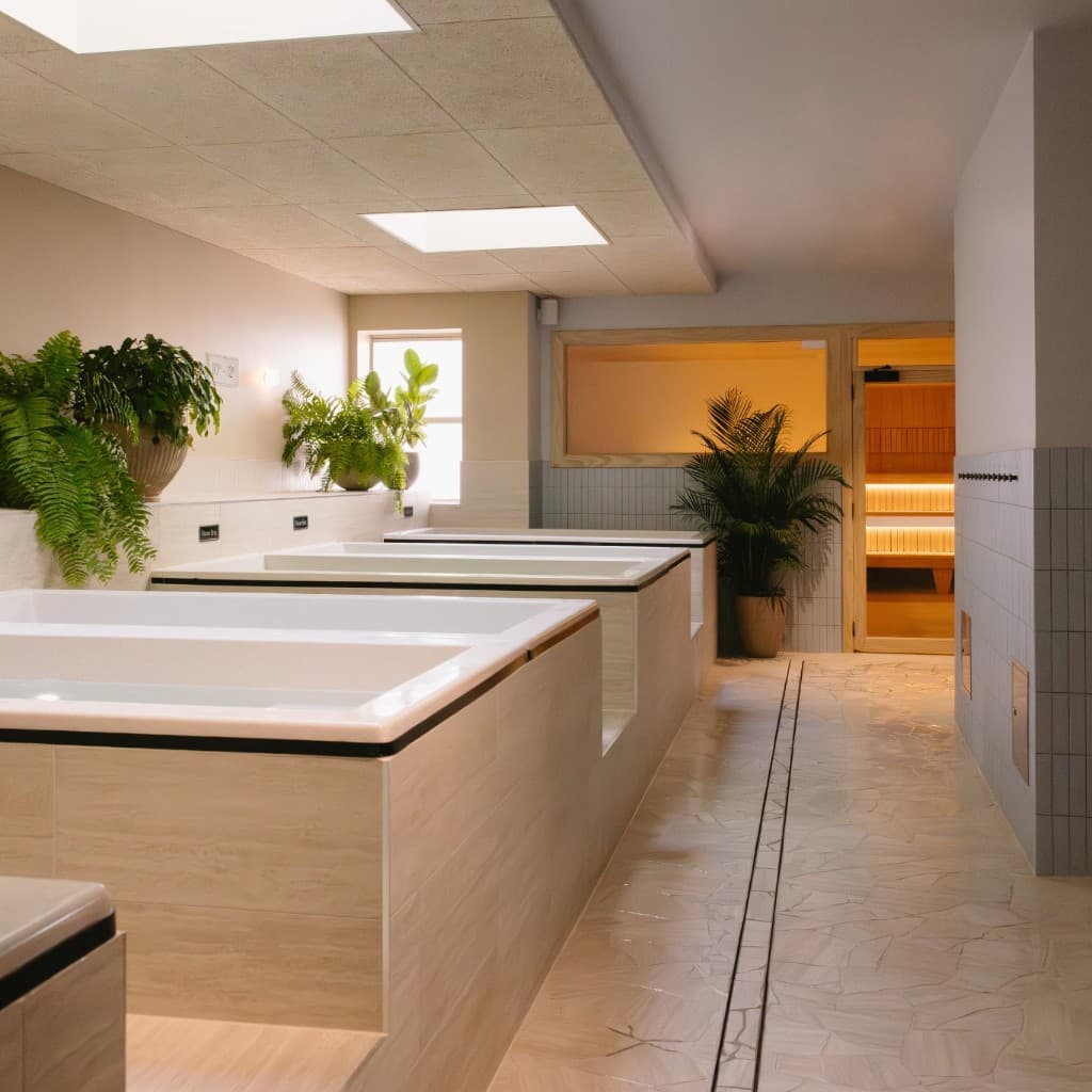 Four plunge baths in pale timber surrounds under skylights, ferns between them and a lit sauna cabin at the far end